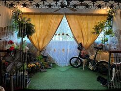 Blk 162 Tampines Street 12 (Tampines), HDB 5 Rooms #542969621